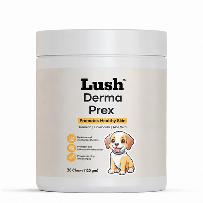 Lush™ DermaPrex Chews — Skin & Itch Relief Supplement for Dogs