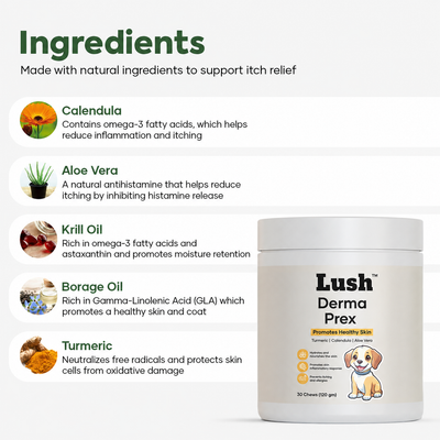 Lush™ DermaPrex Chews — Skin & Itch Relief Supplement for Dogs