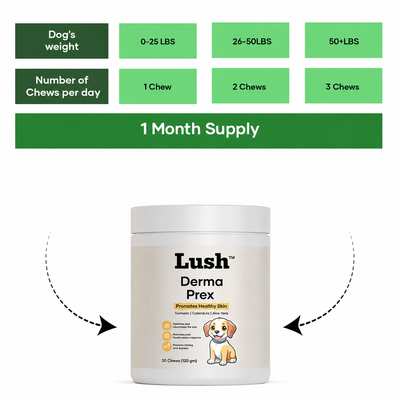 Lush™ DermaPrex Chews — Skin & Itch Relief Supplement for Dogs